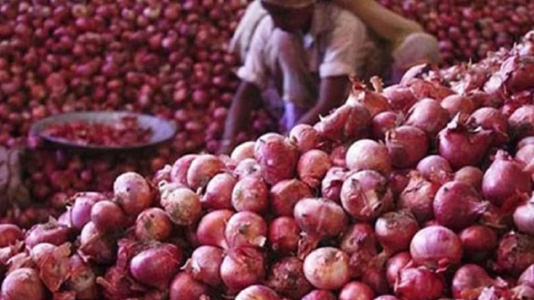 পেঁয়াজ আমদানিতে কর-শুল্কে ছাড় দেয়ার উদ্যোগ নিচ্ছে সরকার